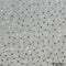 Dyeable Thread Sequins Mirror Embroidered Georgette Fabric F2037